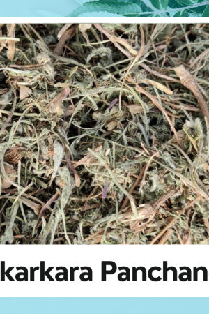 Akarkara panchang | Anacyclus Pyrethrum|Pellitory Roots|अकरकरा