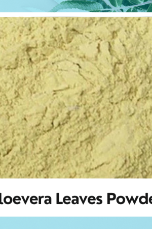 Aloe Vera Leaves Powder |Organic Aloevera Leaf Powder |Natural Alo Vera Leaves Powder |100% Natural & Pure Aloe Vera Powder |Aloevera | Gwarpatha | Kumari |Ghritkumari