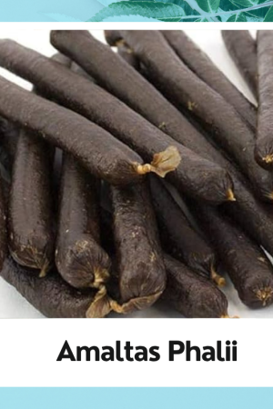 Amltas Fali | Amaltas Phali | Cassia Fistula Pods | Fali Amaltas | Black Ayurvedic Amaltas Phali | Cassia fistula