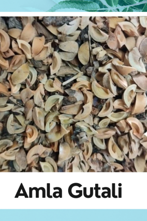 Dried Amla Gutli – Natural Ayurvedic Remedy for Hair & Health