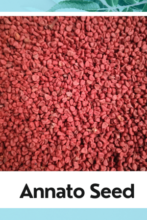 Annatto Seed|Bixa Orellana|अनाट्टो बीज