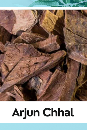 Arjun Chhaal | Organic Natural Herb Arjun Ki Chaal | Arjun Chaal | Terminalia Arjuna Dry | अर्जुन की छाल