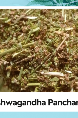 Ashwagandha Panchang | Withania somnifera | Asgand Panchang | Ashwagandha Nagori Panchang | अश्वगंधा पंचांग