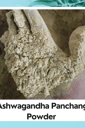 Ashwagandha Panchang Powder | Withania somnifera | Asgand Panchang | Ashwagandha Nagori Panchang