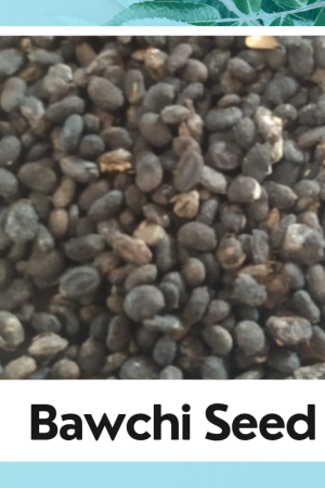 Bawchi Seed | Psoralea Corylifolia |Bawchi Seed | Babchi Seed | Bakuchi Beej | Bawchi Beej | 100% Natural Herbs