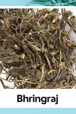 Bhringraj |Bhringraj Root |100% Natural Bhringraj |Bhringraj Organic | Eclipta Alba (L.) Hassk