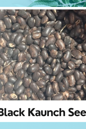 Black Kaunch Seed | Kaunch Beej | Mucuna Pruriens | Velvet Bean | Kala Kaunch Beej