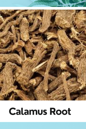 Calamus Root | Vacha Powder | Sweet Flag Root|Acorus Calamus | Calamus Root