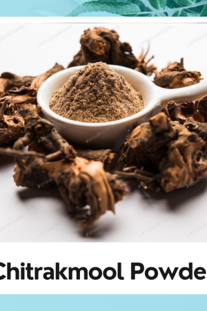 Pure Chitrakmool Powder – Ayurvedic Digestive & Metabolic Tonic