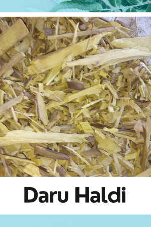 Daru Haldi | Turmeric | Curcuma longa | 100% Natural Turmeric | Organic Haldi