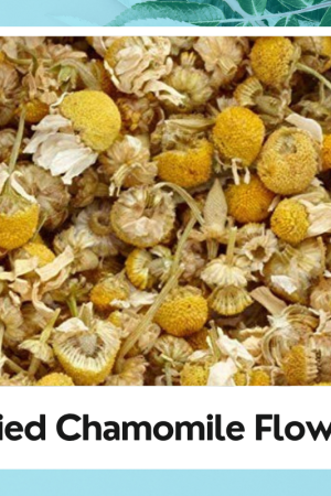 Dry Chamomile Flower | Matricaria chamomilla |Organic Dry Chamomile Flower | Babune Ka Phool | Chamomile Phool | Natural Chamomile Phool