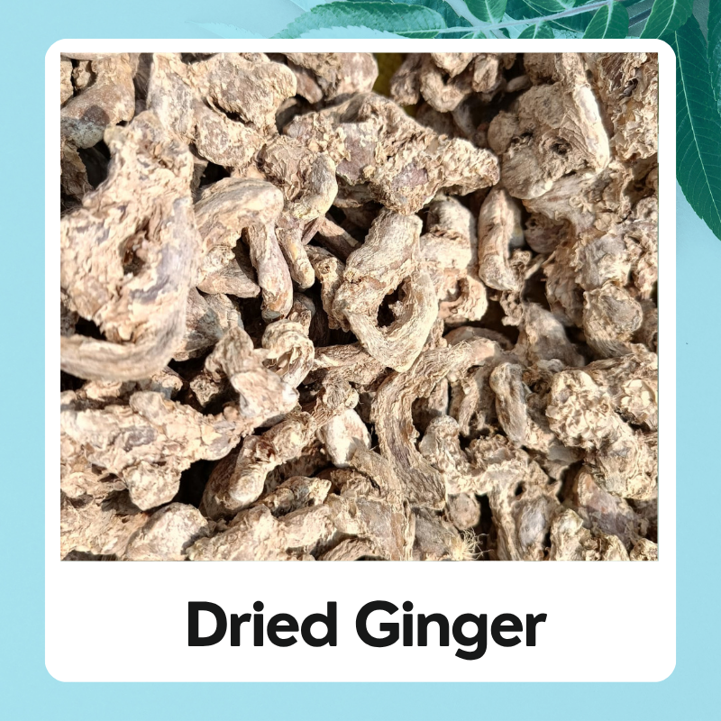 Dry Ginger | Adrak | अदरक | Natural Ginger | Dry Ginger | Zingiber Officinale | Sount