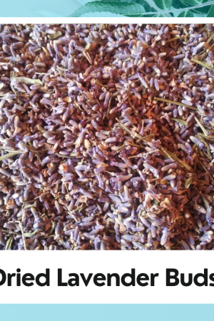 Premium Dried Lavender Buds – Aromatherapy, Tea & Skincare Grade