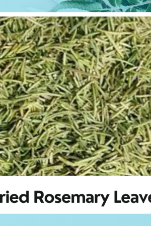 Dryed Rosemary |Rosmarinus officinalis |Rosemary Leaf | Organic Leaves | Natural Rosemary