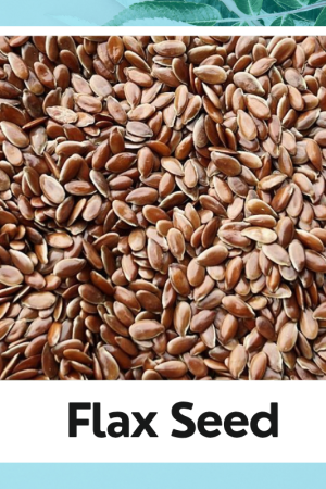Flax Seed | Alsi Seed | Alsi Beej | Brown Flax Seed | Linum usitatissimum | Natural Seed