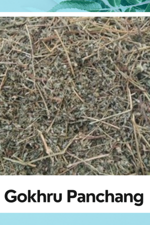 Gokhru Panchang Powder – Ayurvedic Tonic for Kidney, Strength & Vitality