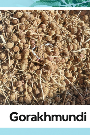 Gorakhmundi Seed | Gorakhmundi |Pure Organic | Gorakhmundi Brawn |100% Natural Products