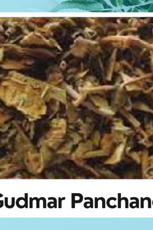 Gudmar Panchang |Natural Gudmar Panchang |Gymnema Sylvestre |Gurmar |Gudmar
