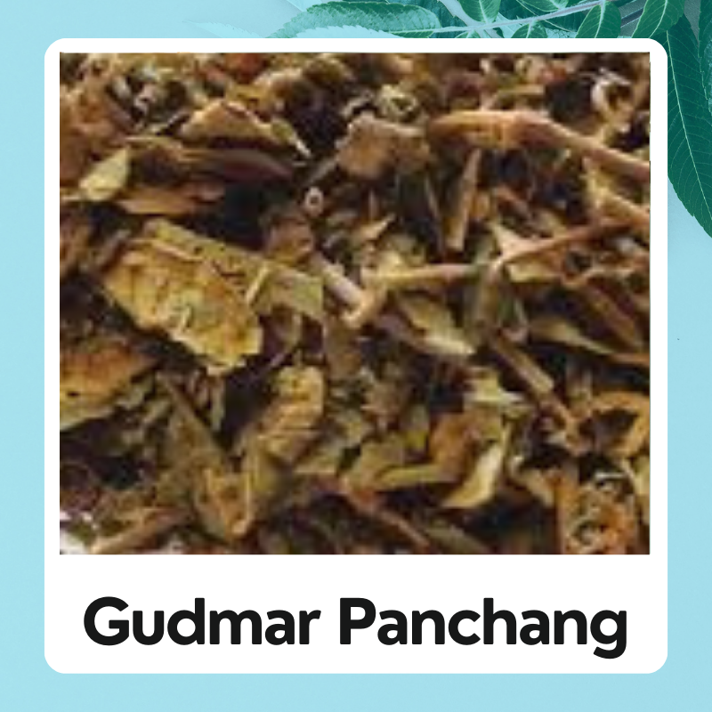 Gudmar Panchang |Natural Gudmar Panchang |Gymnema Sylvestre |Gurmar |Gudmar