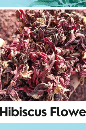 Gudhal Phool |Hibiscus Flower | Hibiscus | गुडहल फूल |Natural Gudhal Phool | Dried Gudhal Phool