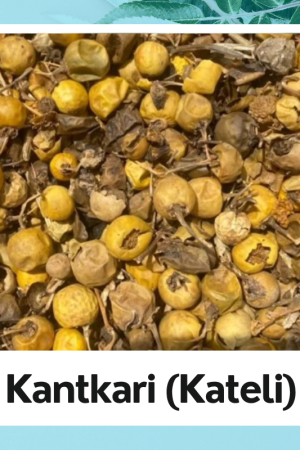 Kateli | Solanum Surattence | kateli Choti |Kantkari | Pure Organic |100% Natural Products