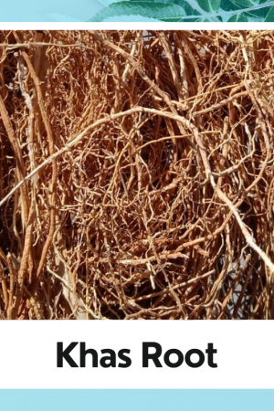 Khas Root ||Chrysopogon Zizanioides |Khas Jadd | Best Khas Root |Organic Herbs Khas Root | Vittiver Root |खस की जड़