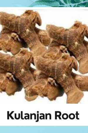 Kulanjan root |Brown Kulanjan Galangal Alpinia Galanga root | Pure Organic |Alpinia Galanga Brawn |100% Natural Products