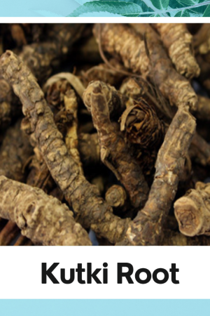 Kutki|Kutaki|Katukaa|Katurohini|Katuki|Katki|Picrorhiza root