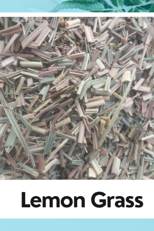 Lemon Grass | Cymbopogon |Green Lemon Grass |Green Dried Lemongrass Leaves | Organic Lemon Grass