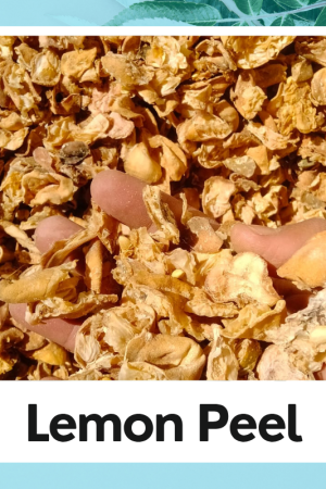 Dry Lemon Peel | Citrus Limonum | Nimbu Chilka | Citrus limon | Nimbu Peel Dry |Nimbu Chhilka