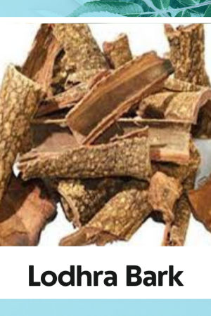 Lodhra Bark | Lodhra Chhaal |Lodh Bark | Lodhra Chaal | Lodh Pathani