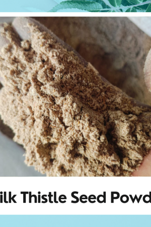 Milk Thistle Powder | Silybum Marianum | Doodh Patra | Powder Milk Thistle Silybum Marianum | Silybum Marianum Powder