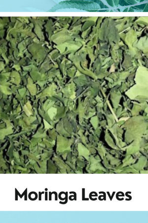 Moringa Leaves – Superfood for Immunity & Wellness