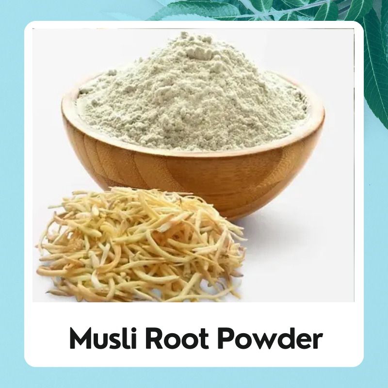 Premium Safed Musli Root Powder – Natural Vitality & Wellness Booster