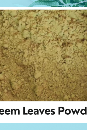 Dried Neem Leaves Powder | नीम पत्ती पाउडर | Neem Patti | Azadirachta Indica | Organic Neem Leaves Powder | neem leaf Powder | Neem Patti Churan