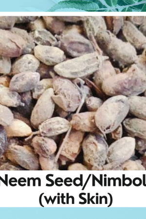 Neem Seed With Peel | Neem Seed with chilka |Dried Neem Seed | नीम बीज | Neem Beej| Azadirachta Indica | Organic Neem Seed
