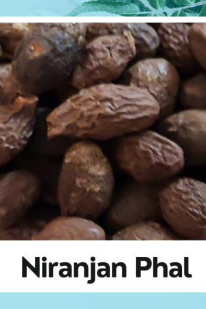 Niranjan Phal | Malva Nuts | China Fruit |Natural Niranjan Fruit | Brown Niranjan Phal