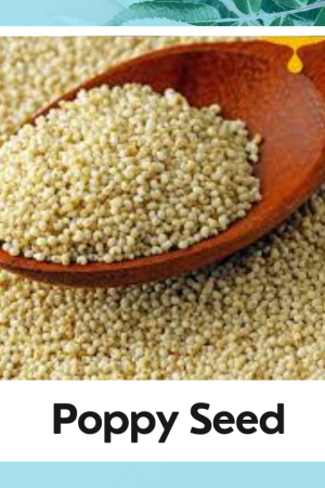 Poppy Seeds | khaskhas | Papaver somniferum | खसखस | Posta Dana |100% Natural Poppy Seed
