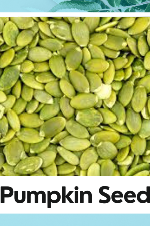 Pumpkin Seed |pepitas |Cucurbita pepo | Kaddu Beej | Kaddu Beej Ka