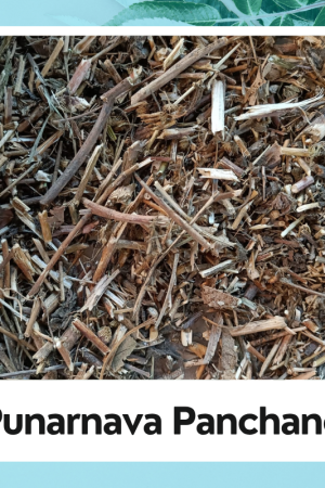 Punarnava Panchang |Boerhavia Diffusa |Punarnava Root | Sathi Jadd  |100% Natural Herbs