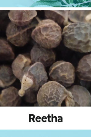 Reetha Seed | Dry Reetha | Aritha | Soapnut Seeds | Ritha | Soapnut | Acacia Concinna