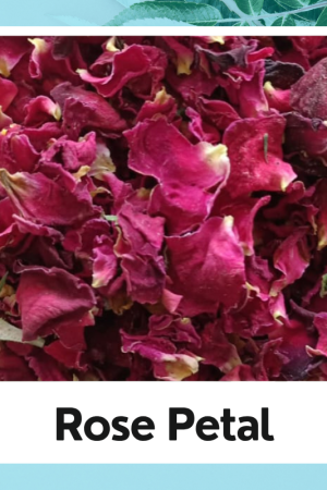 Rose Petal | Rose Leaves | Gulab Patti | Rosa Centifolia |Red Rose Petals | Rosa Indica