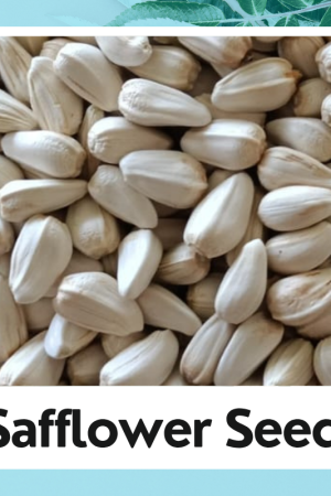 Safflower Seed |Kusum Seed | Carthamus Tinctorius |Safflower Beej | 100% Natural Seed