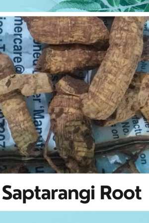Saptarangi Root | Saptrangi Jadd | Saptaranj | Salacia Oblonga | Salacia chinensis |100% Natural Herbs