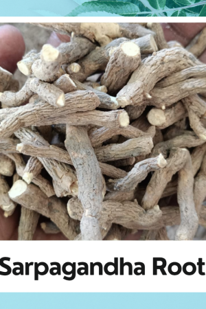 Sarpgandha Root | Indian snakeroot | Rauvolfia Serpentina | Sarpagandha Ki Jadd