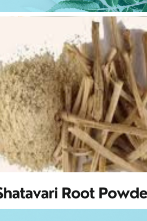 White Shatavari Root Powder | Sitawar Jad Powder | Shatavari Dried Root Powder White | Satavar Powder| Shatamuli | Shatavari Root White | Sitawar Jad Safed | Asparagus racemosus