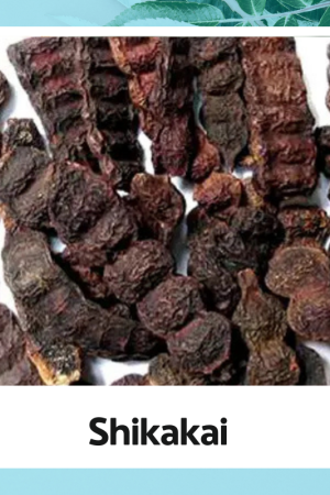 Shikakai | Natural Shikakai |Sikakai | Organic Shikakai |100% Natural Herbs