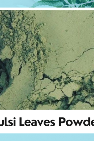 Dry Tulsi Leaves powder | Ocimum tenuiflorum | Basil Leaves | Organic Basil Leaves | Natural Tulsi Leaves