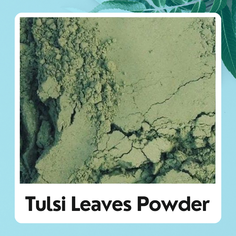 Dry Tulsi Leaves powder | Ocimum tenuiflorum | Basil Leaves | Organic Basil Leaves | Natural Tulsi Leaves