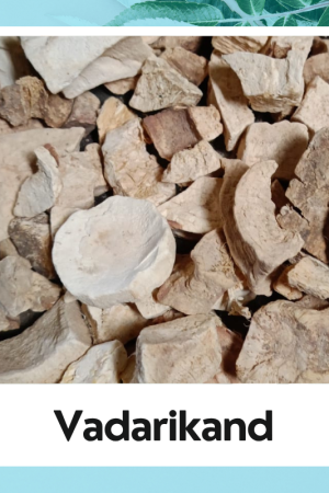 Vadarikand (Ipomoea digitata) – Ayurvedic Herb for Strength, Digestion & Immunity